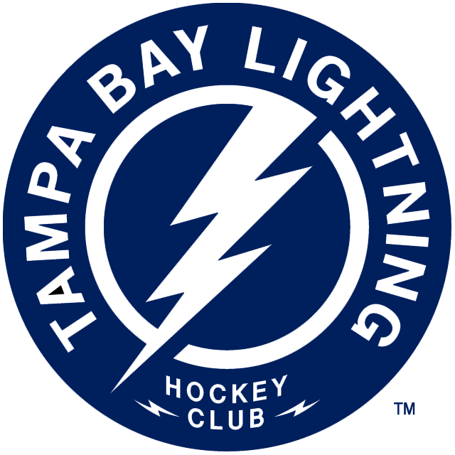 Tampa Bay Lightning 2011-Pres Alternate Logo fabric transfer